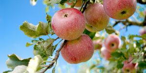 Is Your Website Costing You Sales?